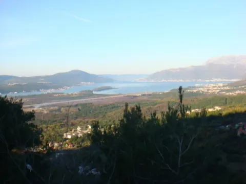 Prodaja, plac, 2000m², Kavač, Kotor - image 3