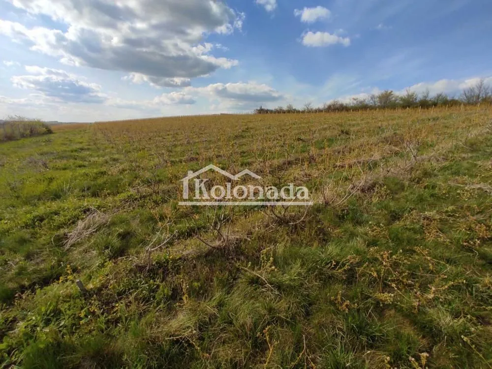 Prodaja, plac, 40100m², Sopot, Beograd