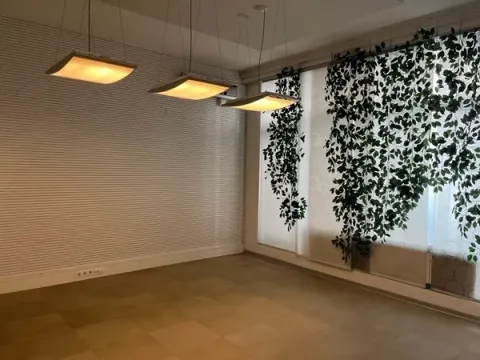 Izdavanje, poslovni prostor, 440m², Stari Grad, Beograd