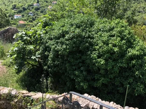 Sale, house, 110m², Seoca, Bar - image 22