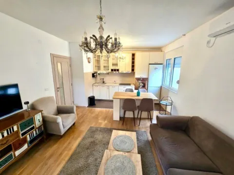 Izdavanje, jednosoban stan, 45m², Preko Morače, Podgorica - image 4