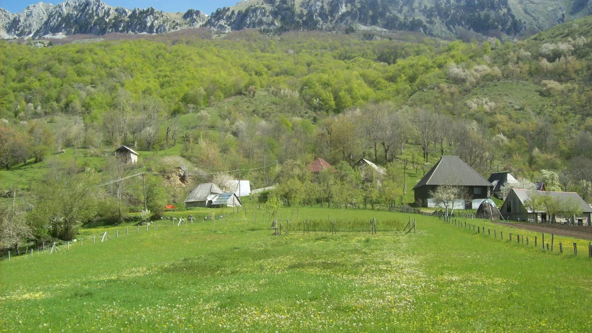 Prodaja, plac, 8124m², Gornje Lipovo, Kolašin