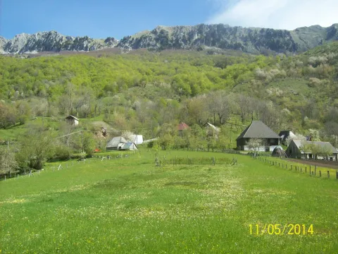 Prodaja, plac, 8124m², Gornje Lipovo, Kolašin - image 4
