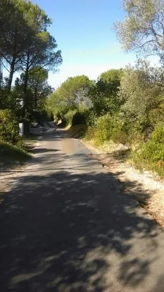 Sale, land lot, 10000m², Herceg Novi, Crna Gora