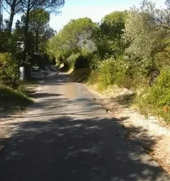 Prodaja, plac, 10000m², Herceg Novi, Crna Gora