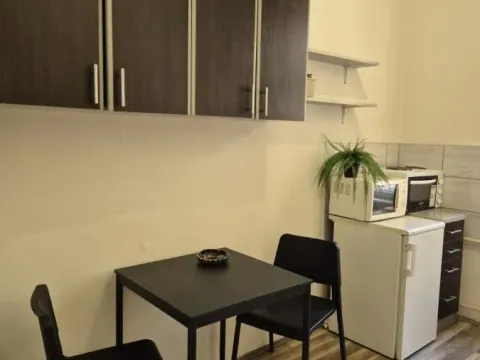 Izdavanje, jednosoban stan, 37m², Centar, Novi Sad - image 13