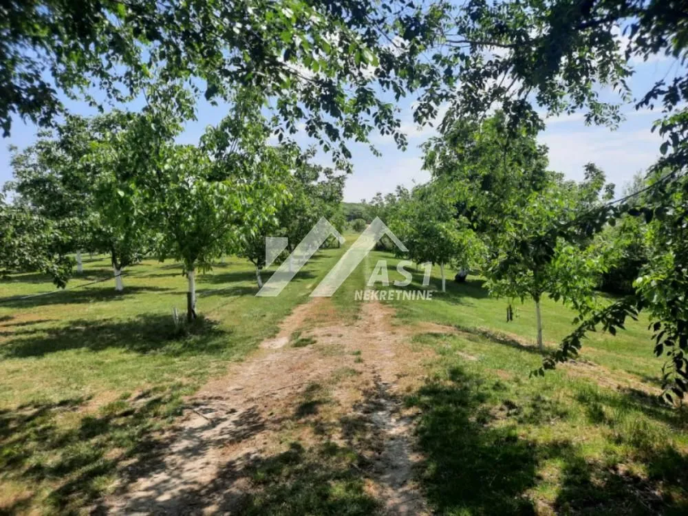 Prodaja, kuća, 100m², Žabalj, Srbija