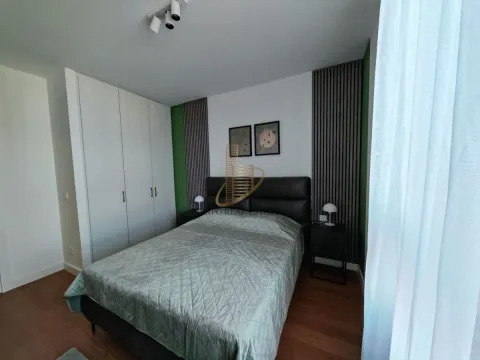 Izdavanje, dvosoban stan, 56m², Savski Venac, Beograd - image 10