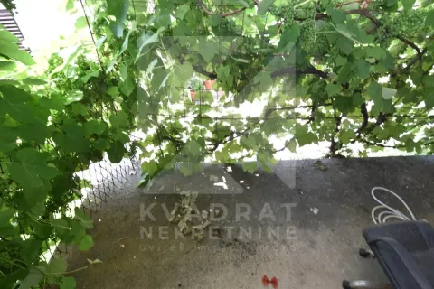 Covered terrace with grapevine and foliage overhead. - image 13