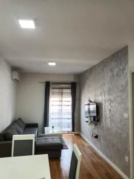 Izdavanje, jednosoban stan, 45m², Central Point, Podgorica - image 2