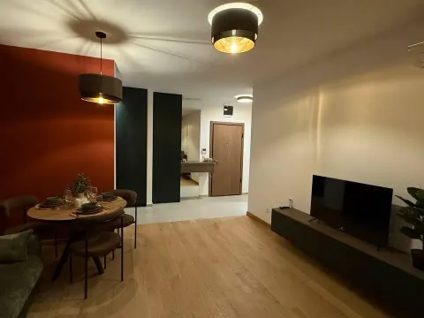 Rent, one bedroom apartment, 44m², Bečići, Budva - image 1