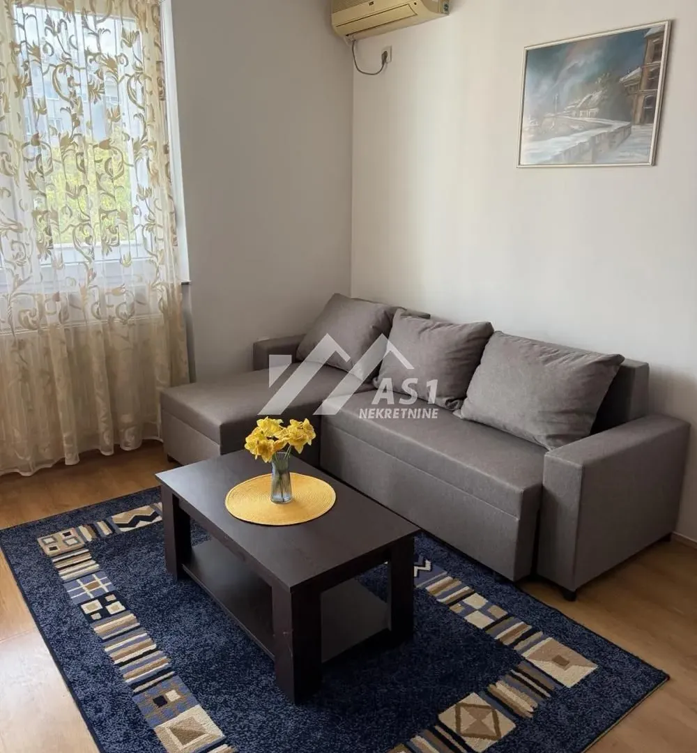 Rent, one bedroom apartment, 40m², Novi Sad Sve Podlokacije, Novi Sad
