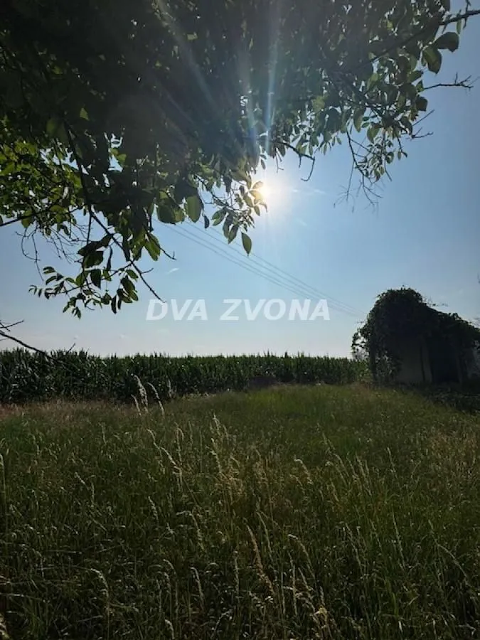 Prodaja, plac, 4700m², Čortanovci, Inđija