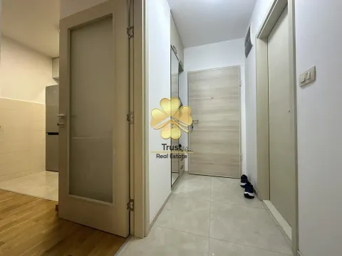 Izdavanje, jednosoban stan, 45m², Zagorič, Podgorica - image 4