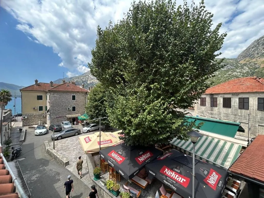 Izdavanje, garsonjera, 23m², Risan, Kotor