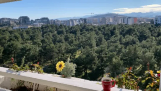 Prodaja, dvosoban stan, 77m2, Blok 5, Podgorica
