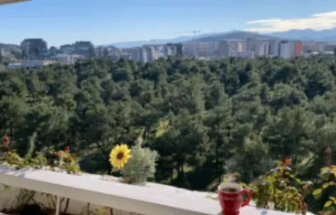 Prodaja, dvosoban stan, 77m², Blok 5, Podgorica