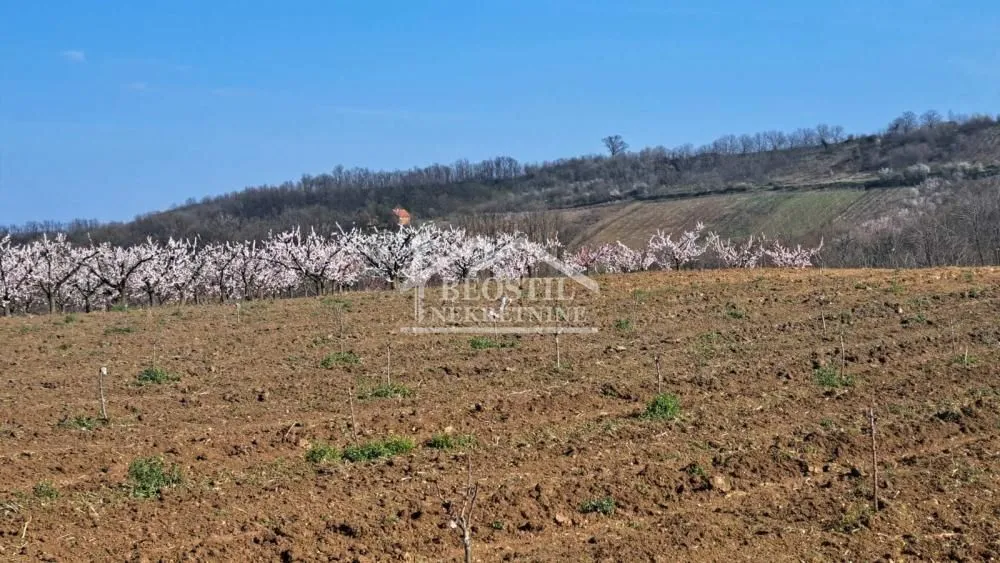 Prodaja, plac, 4058m², Brestovik, Grocka
