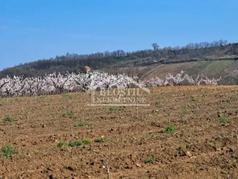 Sale, land lot, 4058m², Brestovik, Grocka - image 2