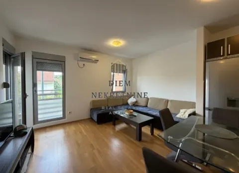 Rent, one bedroom apartment, 45m², Nova Dalmatinska, Podgorica - image 13