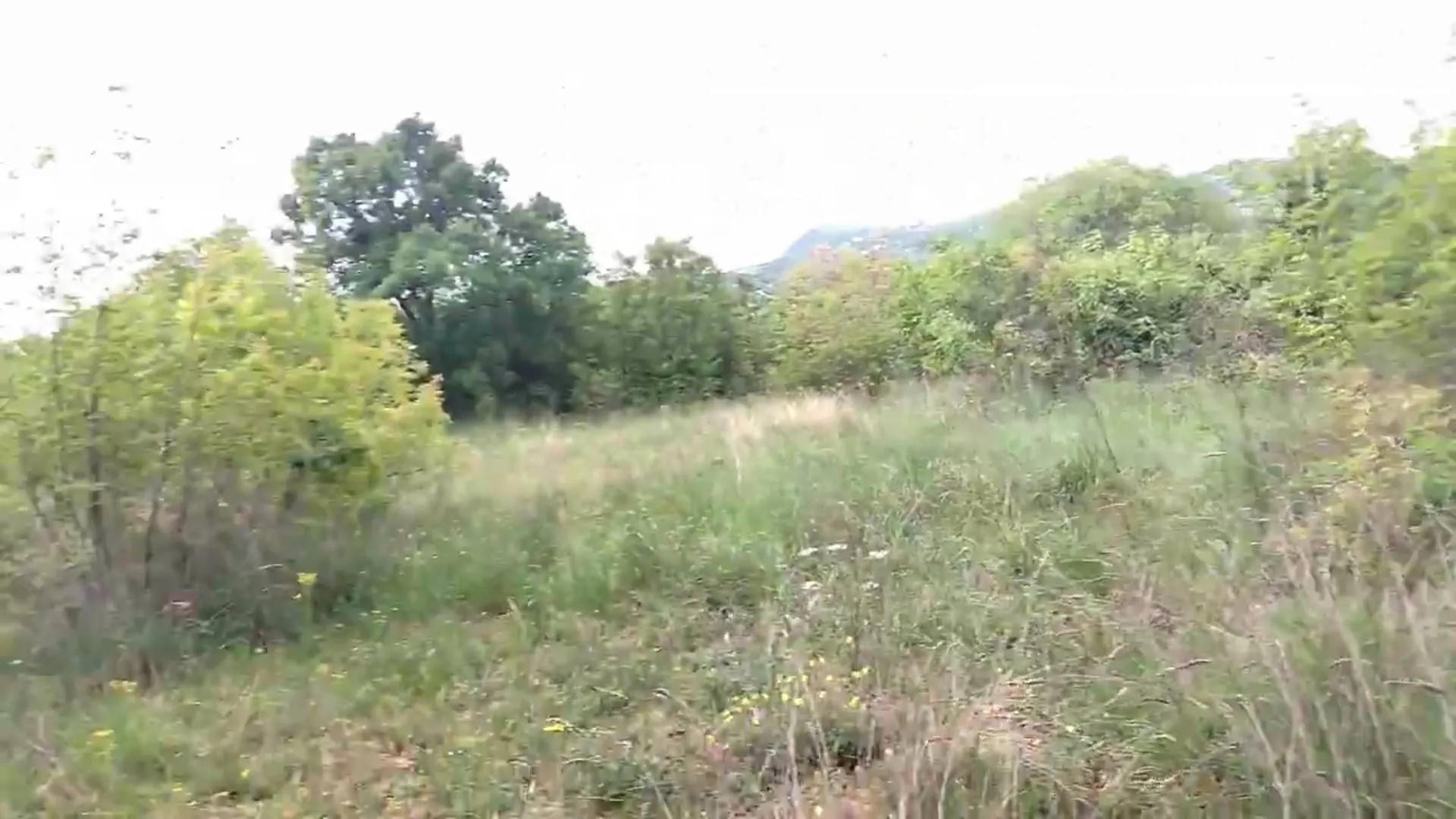 Prodaja, plac, 3493m², Barutana, Podgorica