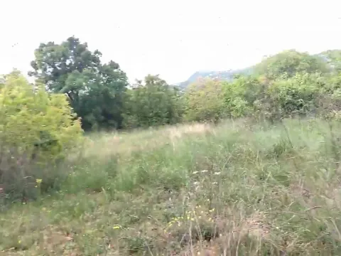 Prodaja, plac, 3493m², Barutana, Podgorica - image 7