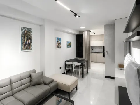 Rent, one bedroom apartment, 45m², Zagorič, Podgorica - image 3