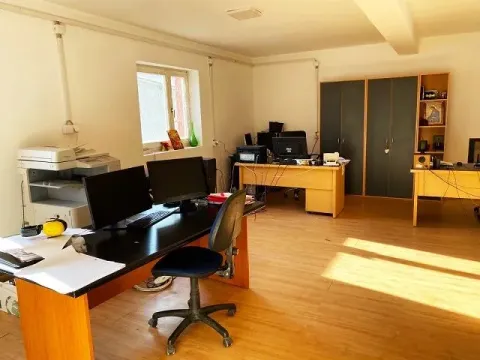 Izdavanje, poslovni prostor, 700m², Altina, Beograd - image 7