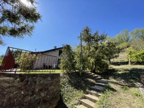 Prodaja, kuća, 54m², Paragovo, Petrovaradin - image 2