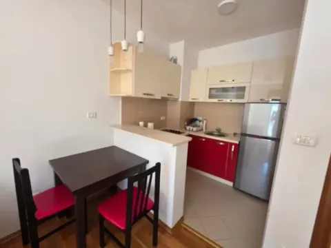 Izdavanje, jednosoban stan, 40m², Pobrežje, Podgorica - image 2