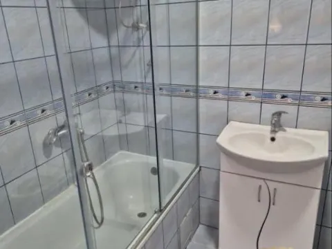 Izdavanje, kuća, 220m², Zemun Sve Podlokacije, Beograd - image 14