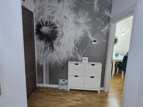 Izdavanje, jednosoban stan, 47m², Zabjelo, Podgorica - image 8