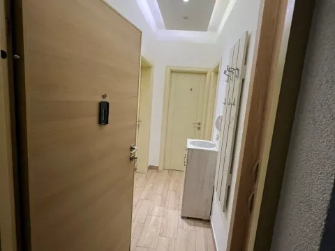 Izdavanje, jednosoban stan, 55m², Masline, Podgorica - image 7