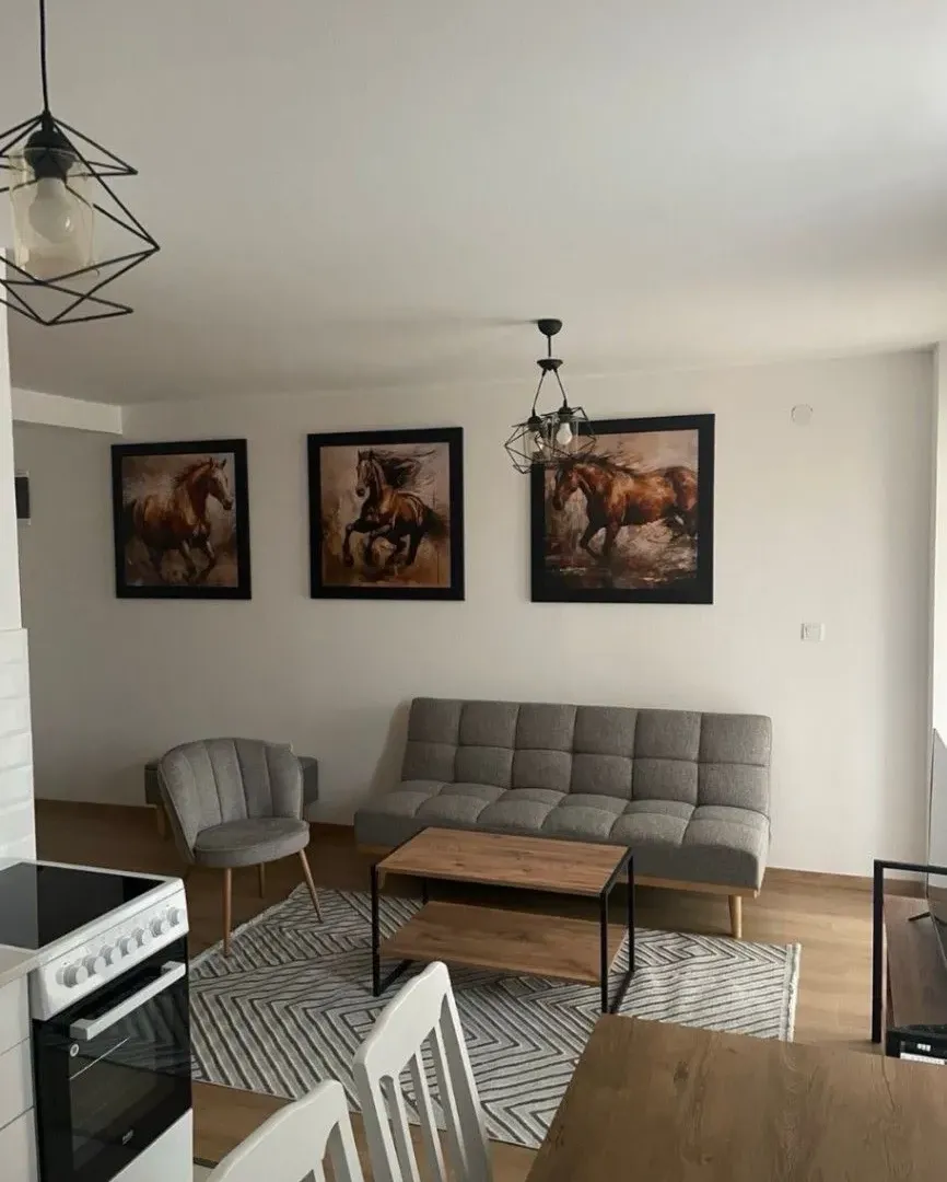 Izdavanje, jednosoban stan, 45m², Stari Aerodrom, Podgorica