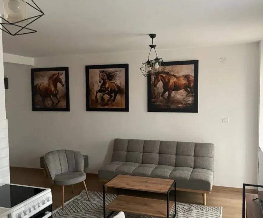 Izdavanje, jednosoban stan, 45m², Stari Aerodrom, Podgorica