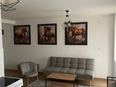 Izdavanje, jednosoban stan, 45m², Stari Aerodrom, Podgorica - image 1