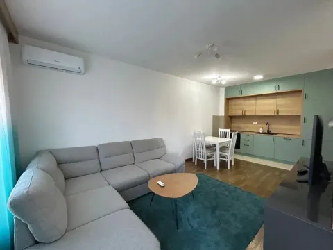 Rent, one bedroom apartment, 42m², Zabjelo, Podgorica - image 2
