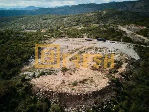 Prodaja, plac, 70000m², Ostalo, Podgorica - image 5