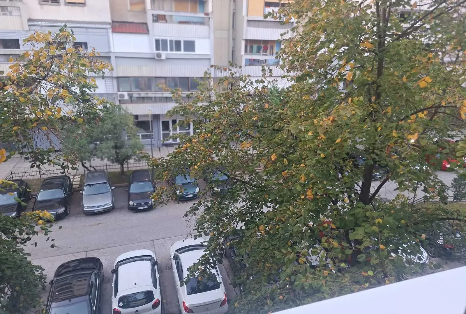 Rent, one bedroom apartment, 38m², Centar, Podgorica