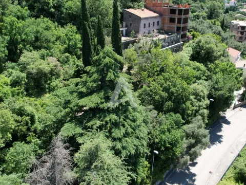 Prodaja, kuća, 500m², Petrovac, Budva - image 5