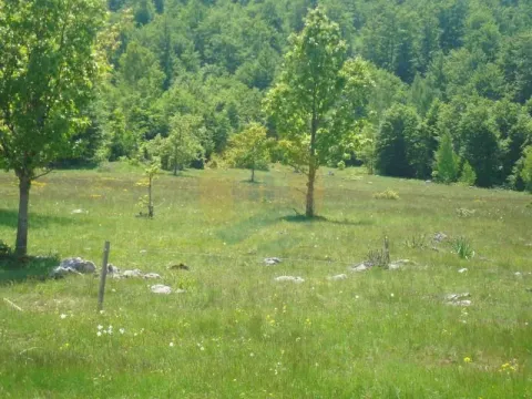 Prodaja, plac, 105000m², Plužine, Crna Gora - image 4