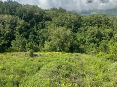 Prodaja, zemljište, 2420m2, Radanovići, Kotor Prodaja, zemljište, 2420m2, Radanovići, Kotor