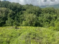 Sale, land lot, 2420m², Radanovići, Kotor - image 5