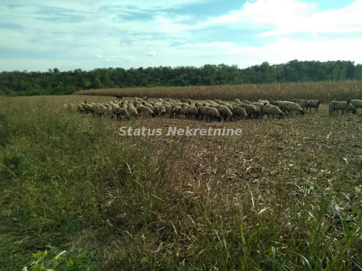 Prodaja, plac, 13011m², Beočin, Srbija