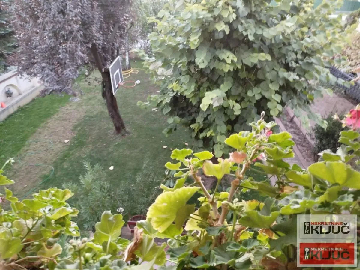 Rent, house, 170m², Adice, Novi Sad Sve Podlokacije