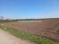 Prodaja, plac, 201m², Petrovčić, Surčin - image 3