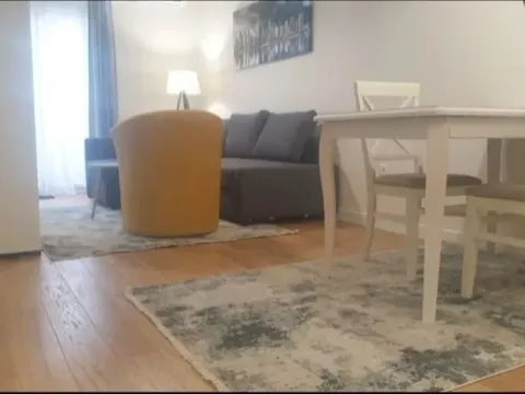 Izdavanje, jednosoban stan, 43m², Central Point, Podgorica - image 5