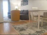 Izdavanje, jednosoban stan, 43m², Central Point, Podgorica - image 5