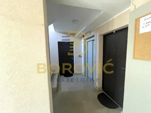 Sale, two bedroom apartment, 45m², Cvetkova Pijaca, Zvezdara Sve Podlokacije - image 12