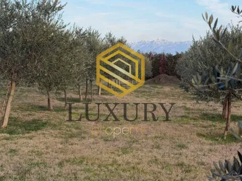 Prodaja, kuća, 122m², Zeta, Podgorica - image 5